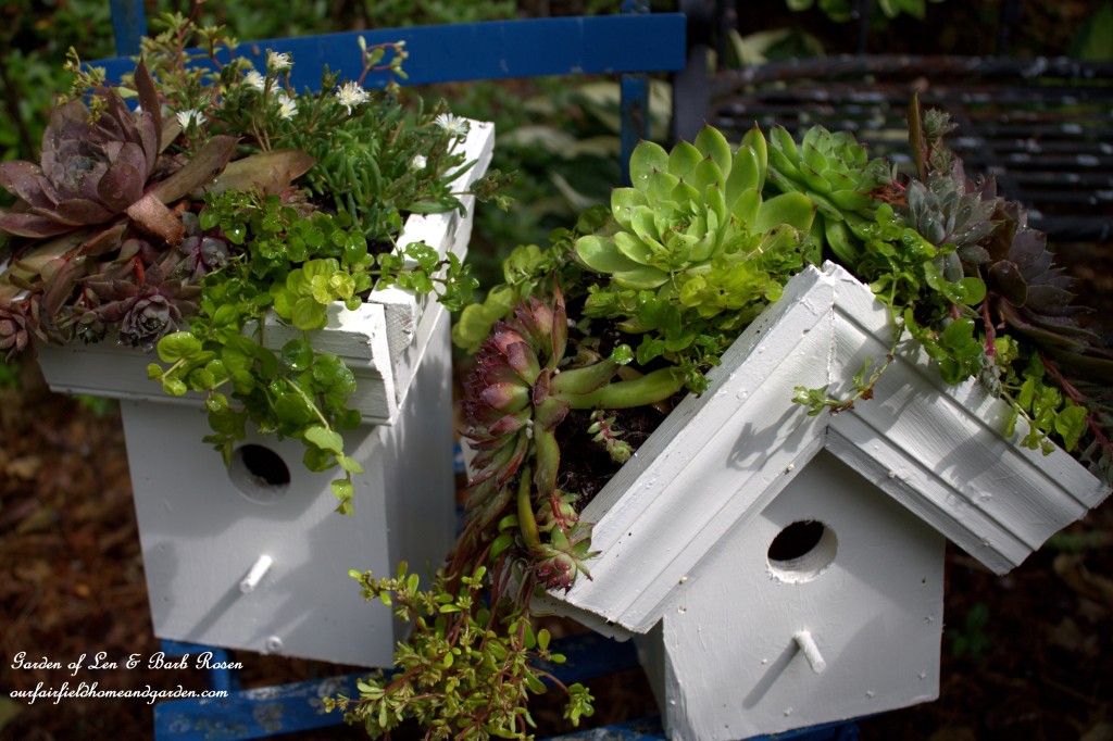 DIY Greenroof Birdhouses https://ourfairfieldhomeandgarden.com/diy-easy-greenroof-birdhouses/