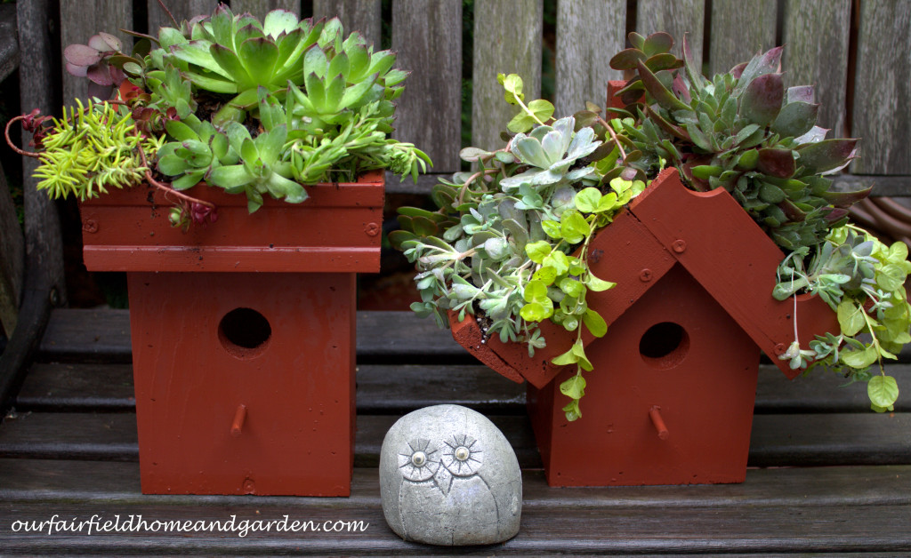 Green Roof Birdhouse https://ourfairfieldhomeandgarden.com/diy-easy-greenroof-birdhouses/