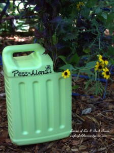 Pass-Along Plant Tote https://ourfairfieldhomeandgarden.com/diy-pass-along-plant-tote/