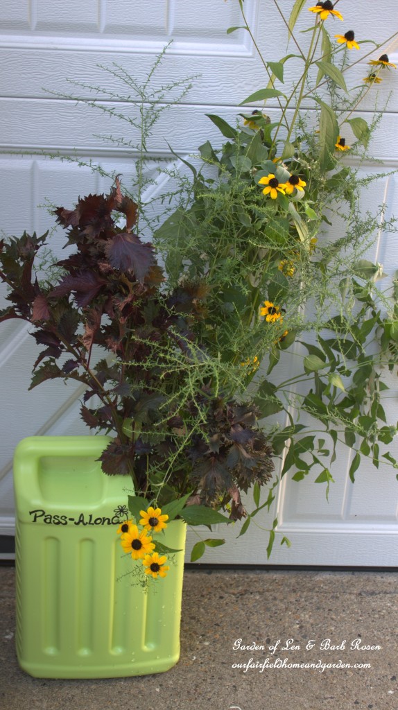 Pass-Along Plant Tote https://ourfairfieldhomeandgarden.com/diy-pass-along-plant-tote/