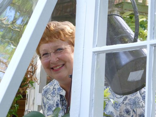 Repurposed Windows Greenhouse http://www.delawareonline.com/story/life/home-garden/backyard-gardener/2015/10/07/windows-salvaged-wood-make-original-greenhouse/73529018/