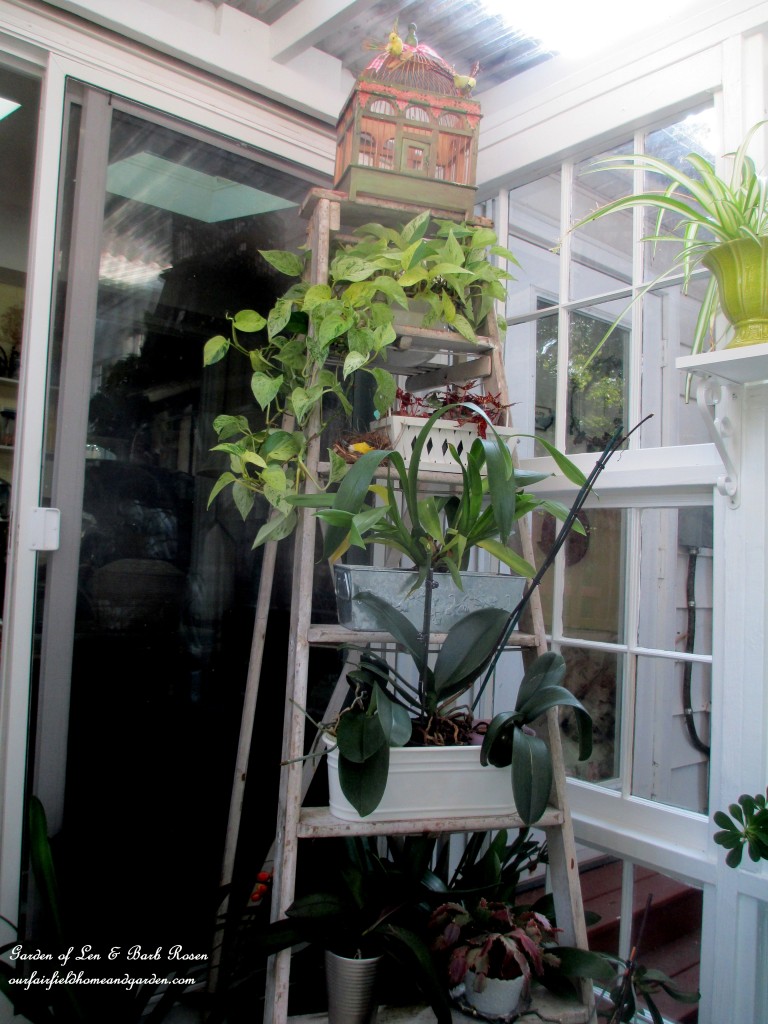 Repurposed Windows Greenhouse https://ourfairfieldhomeandgarden.com/building-a-repurposed-windows-greenhouse/