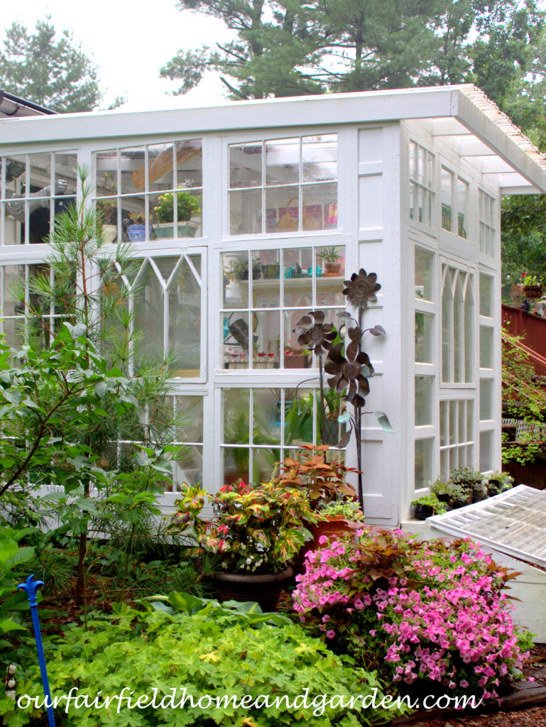 Greenhouse at Our Fairfield Home and Garden https://ourfairfieldhomeandgarden.com/building-a-repurposed-windows-greenhouse/
