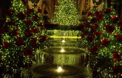 A Longwood Christmas