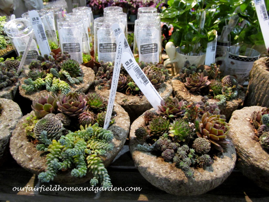 2017 Philadelphia Flower Show https://ourfairfieldhomeandgarden.com/field-trip-philadelphia-flower-show/