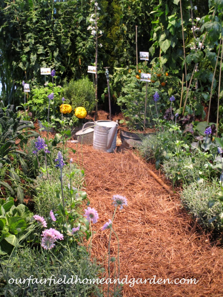 2017 Philadelphia Show https://ourfairfieldhomeandgarden.com/field-trip-philadelphia-flower-show/