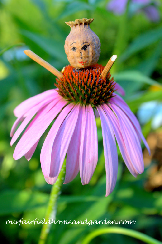 Flower Fairies https://ourfairfieldhomeandgarden.com/flower-fairies/