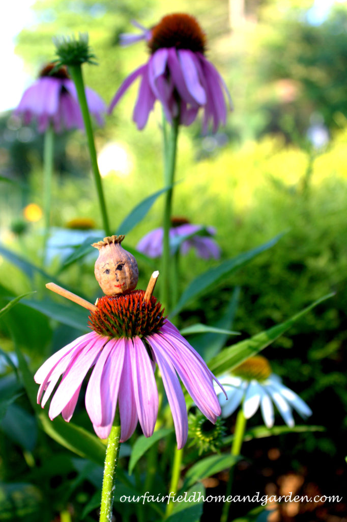 Flower Fairies https://ourfairfieldhomeandgarden.com/flower-fairies/
