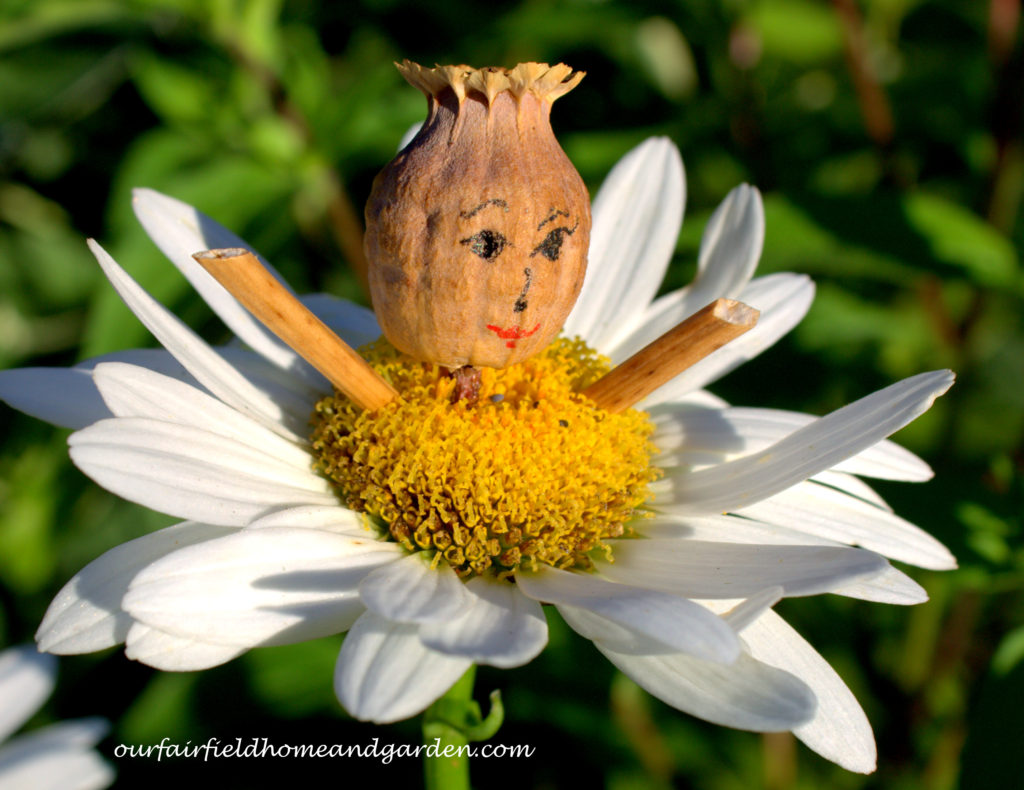 Flower Fairies https://ourfairfieldhomeandgarden.com/flower-fairies/