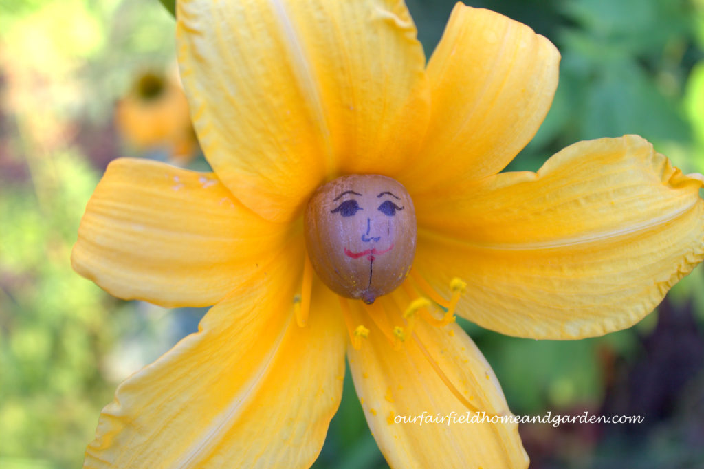 Flower Fairies https://ourfairfieldhomeandgarden.com/flower-fairies/