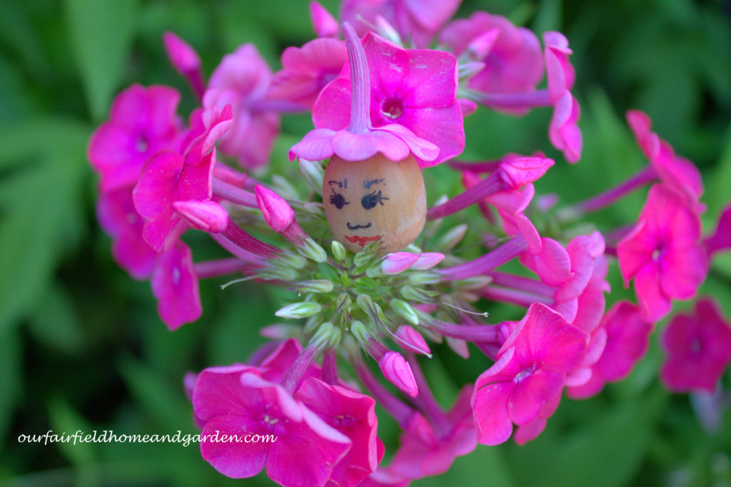 Flower Fairies https://ourfairfieldhomeandgarden.com/flower-fairies/