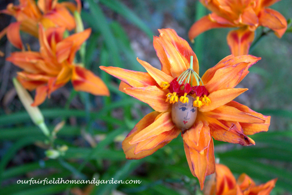 Flower Fairies https://ourfairfieldhomeandgarden.com/flower-fairies/