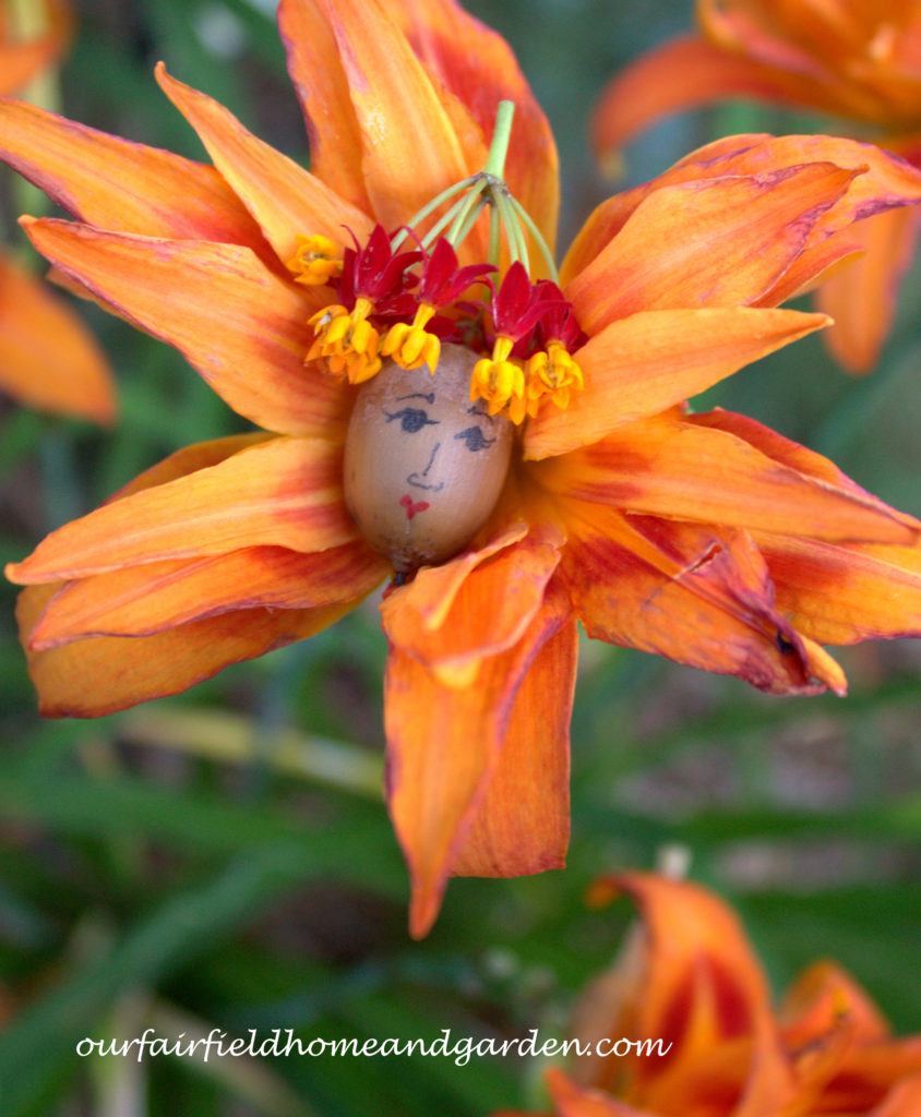 Flower Fairy https://ourfairfieldhomeandgarden.com/flower-fairies/
