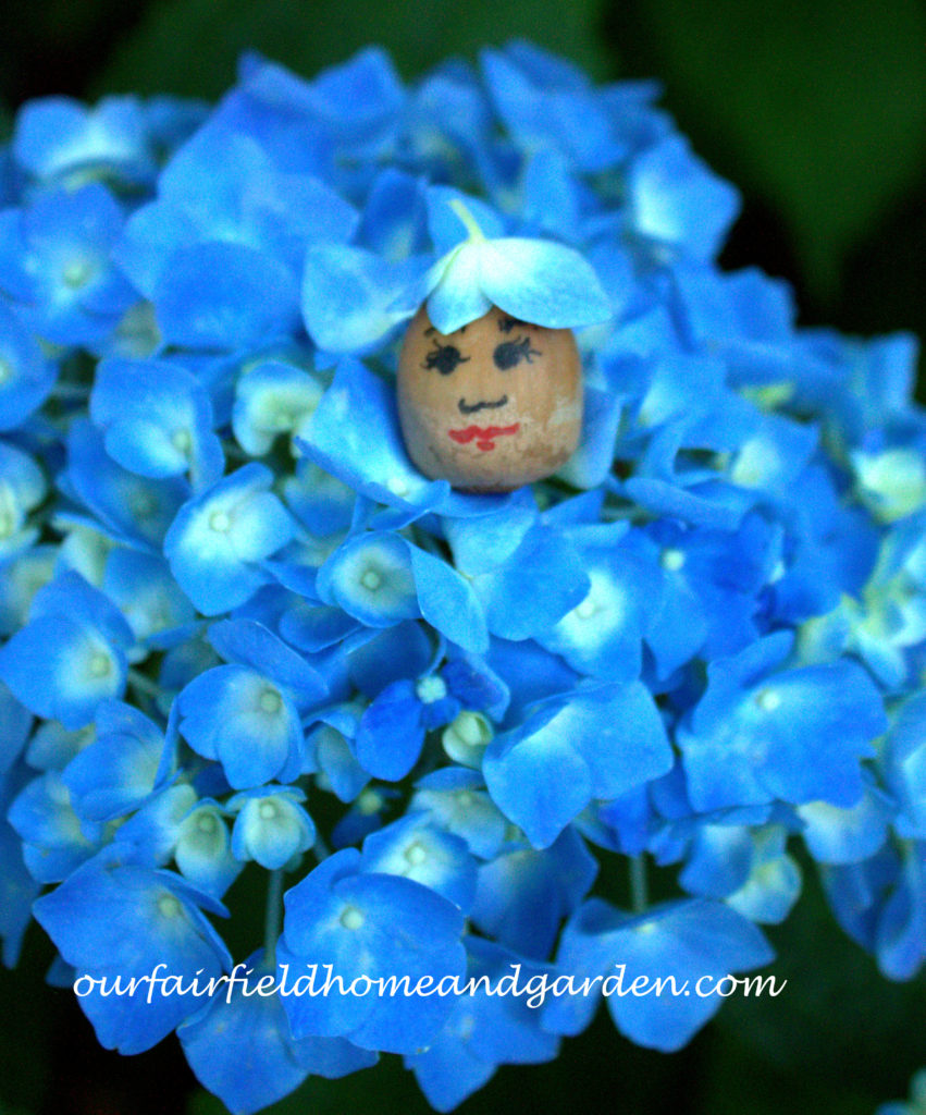 Flower Fairies https://ourfairfieldhomeandgarden.com/flower-fairies/