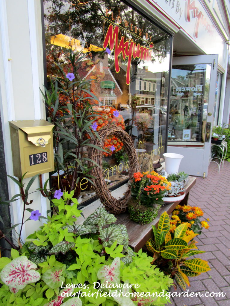 Lewes Beach, DE https://ourfairfieldhomeandgarden.com/field-trip-lewes-beach-get-a-way/