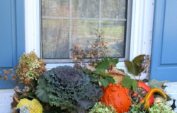Decorate for Fall Naturally