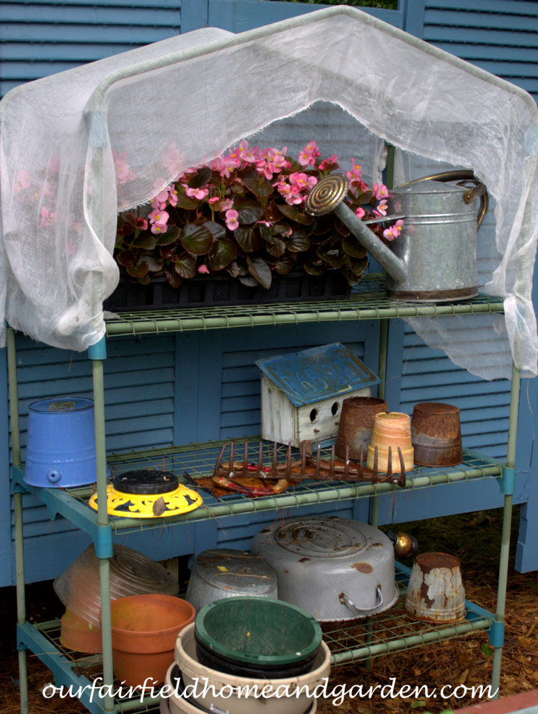 Cheesecloth in the Garden https://ourfairfieldhomeandgarden.com/cheesecloth-uses-in-the-garden-practical-and-recyclable/