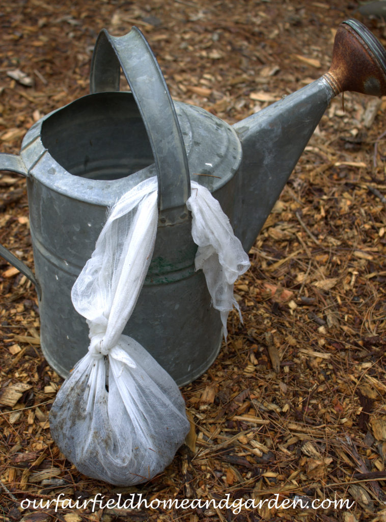 Cheesecloth in the Garden https://ourfairfieldhomeandgarden.com/cheesecloth-uses-in-the-garden-practical-and-recyclable/