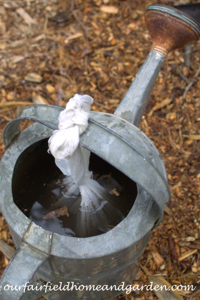 Cheesecloth in the Garden https://ourfairfieldhomeandgarden.com/cheesecloth-uses-in-the-garden-practical-and-recyclable/
