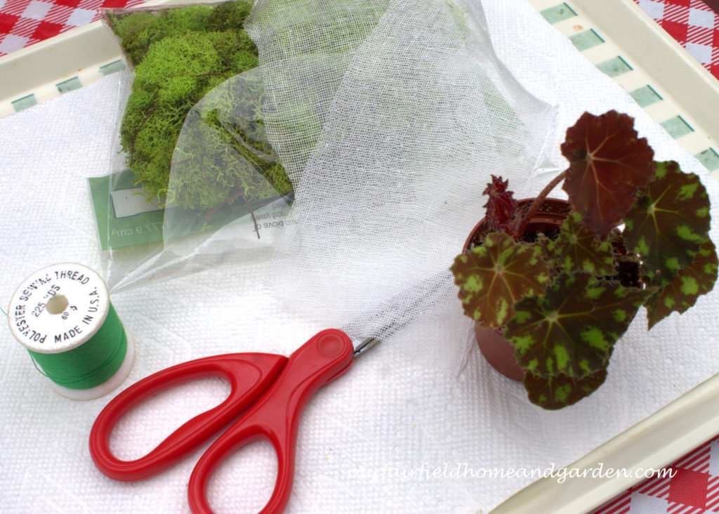 Cheesecloth in the Garden https://ourfairfieldhomeandgarden.com/cheesecloth-uses-in-the-garden-practical-and-recyclable/