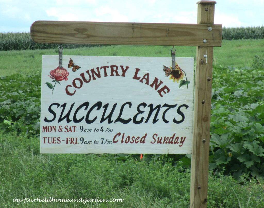 Country Lane Succulents https://ourfairfieldhomeandgarden.com/field-trip-country-lane-succulents-new-holland-pa/