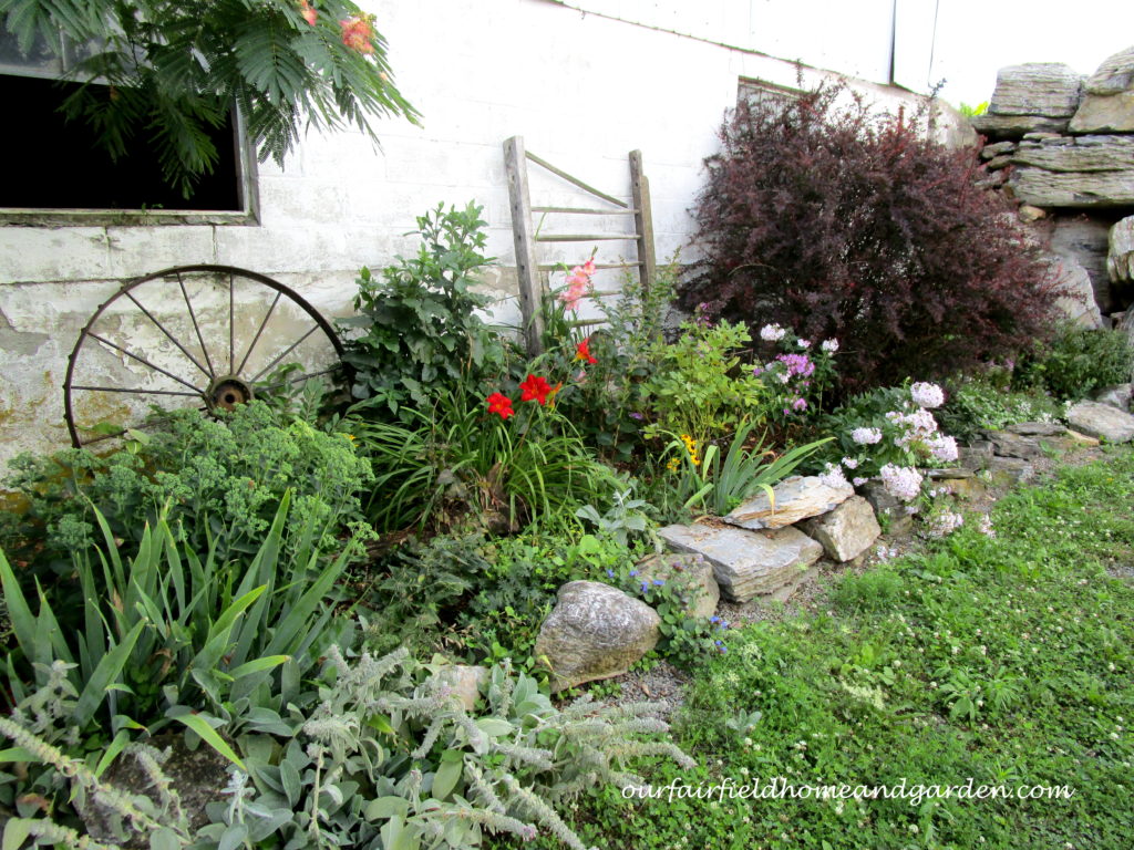 Country Lane Succulents https://ourfairfieldhomeandgarden.com/field-trip-country-lane-succulents-new-holland-pa/