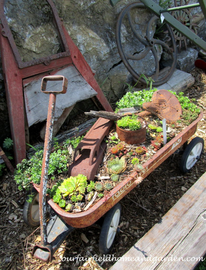 Country Lane Succulents https://ourfairfieldhomeandgarden.com/field-trip-country-lane-succulents-new-holland-pa/
