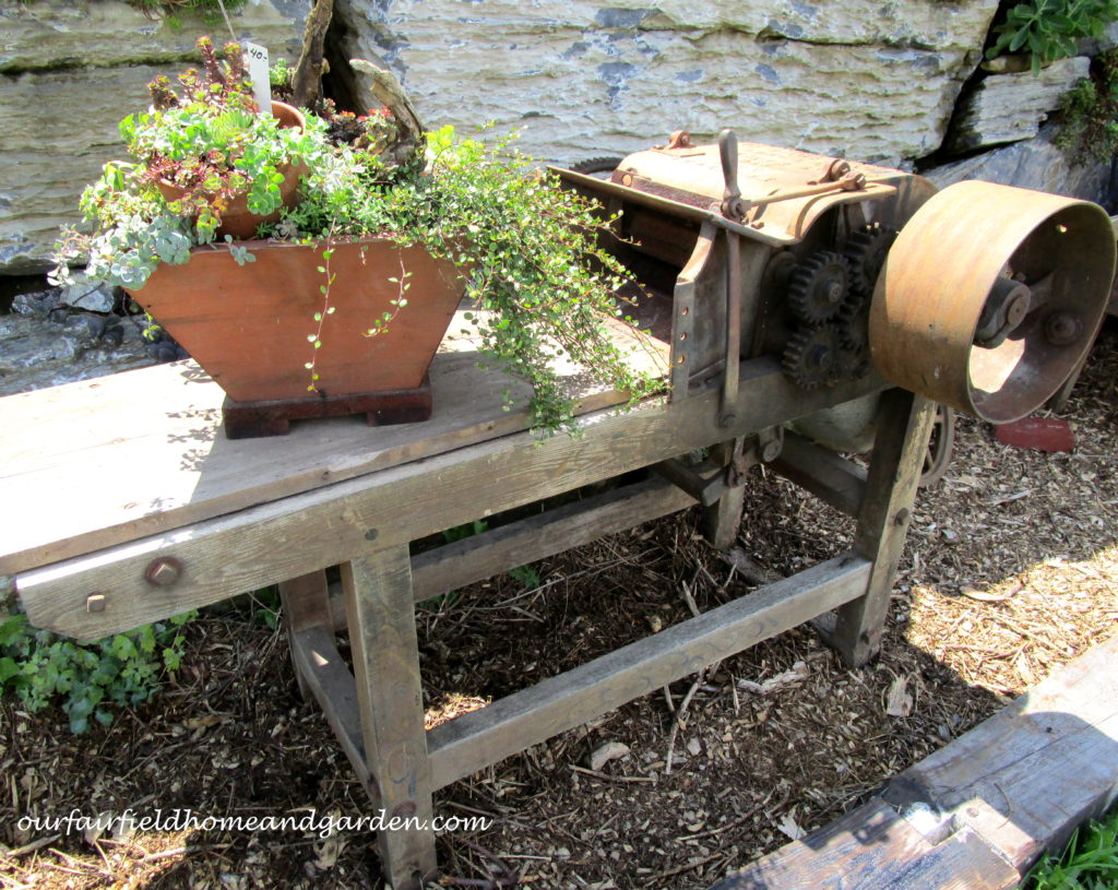 Country Lane Succulents https://ourfairfieldhomeandgarden.com/field-trip-country-lane-succulents-new-holland-pa/