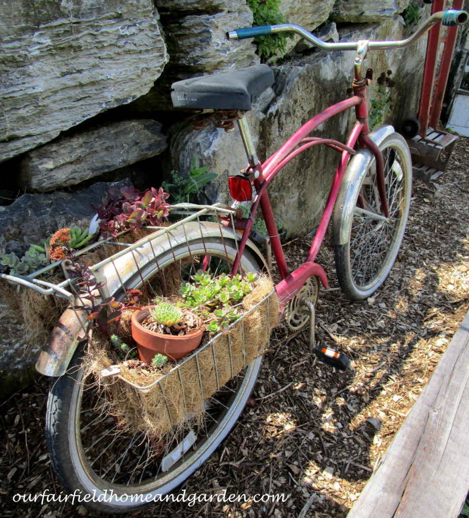 Country Lane Succulents https://ourfairfieldhomeandgarden.com/field-trip-country-lane-succulents-new-holland-pa/