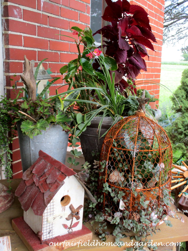 Country Lane Succulents https://ourfairfieldhomeandgarden.com/field-trip-country-lane-succulents-new-holland-pa/