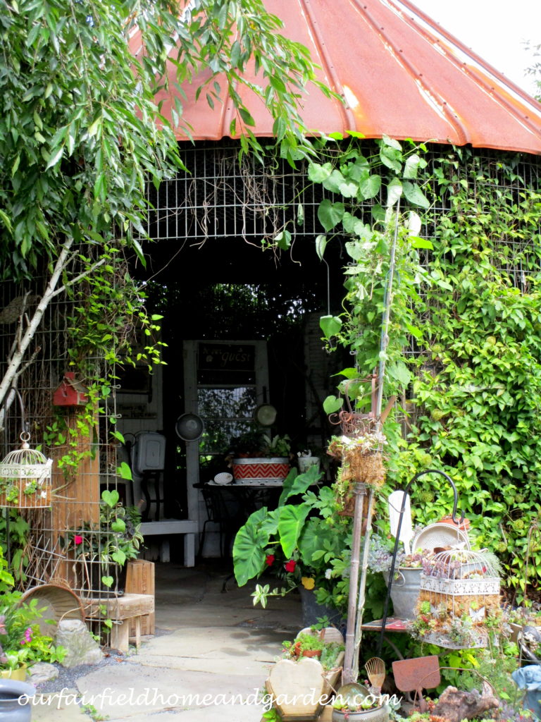 Country Lane Succulents https://ourfairfieldhomeandgarden.com/field-trip-country-lane-succulents-new-holland-pa/