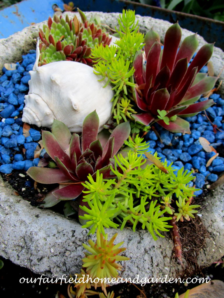Succulent Wheelbarrow Planter https://ourfairfieldhomeandgarden.com/succulent-wheelbarrow-planter/