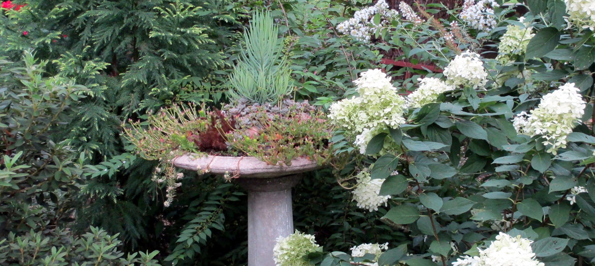 DIY garden craft projects...