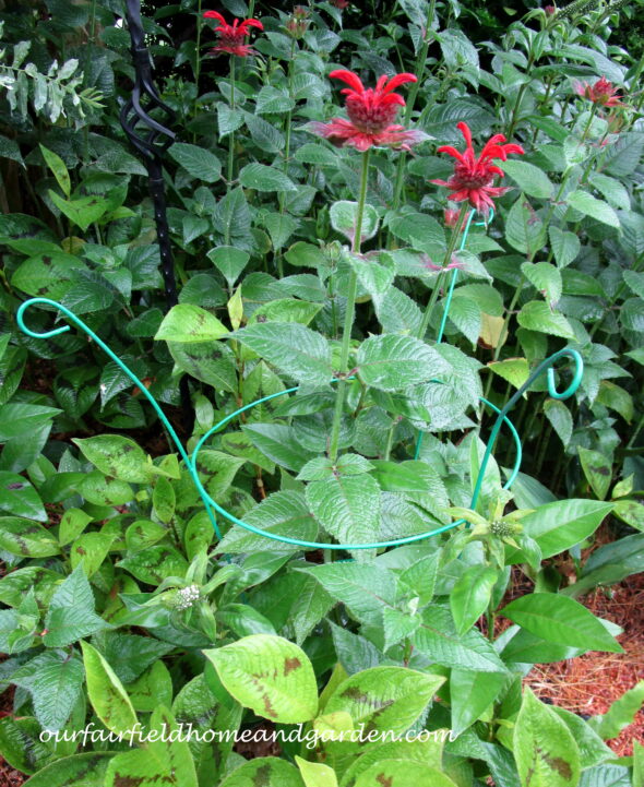 Make Your Own Plant Supports