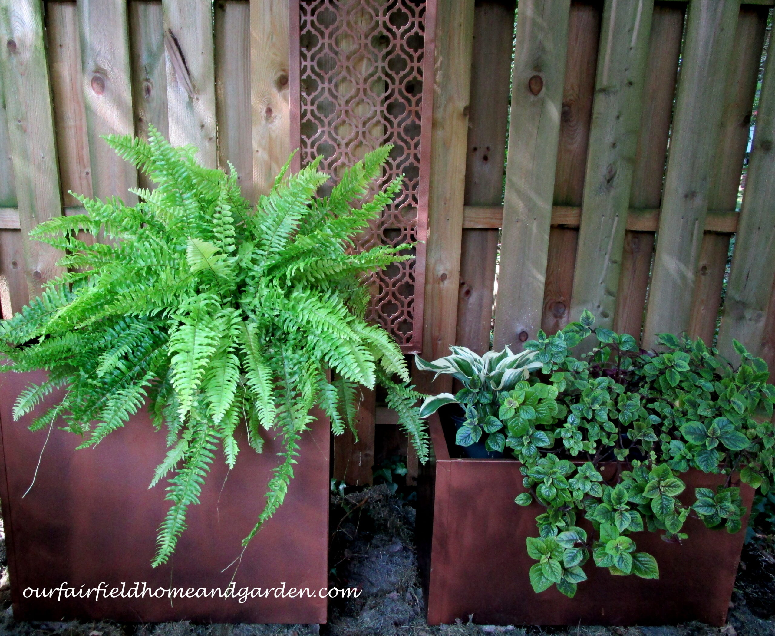 Filing Cabinet Planters
